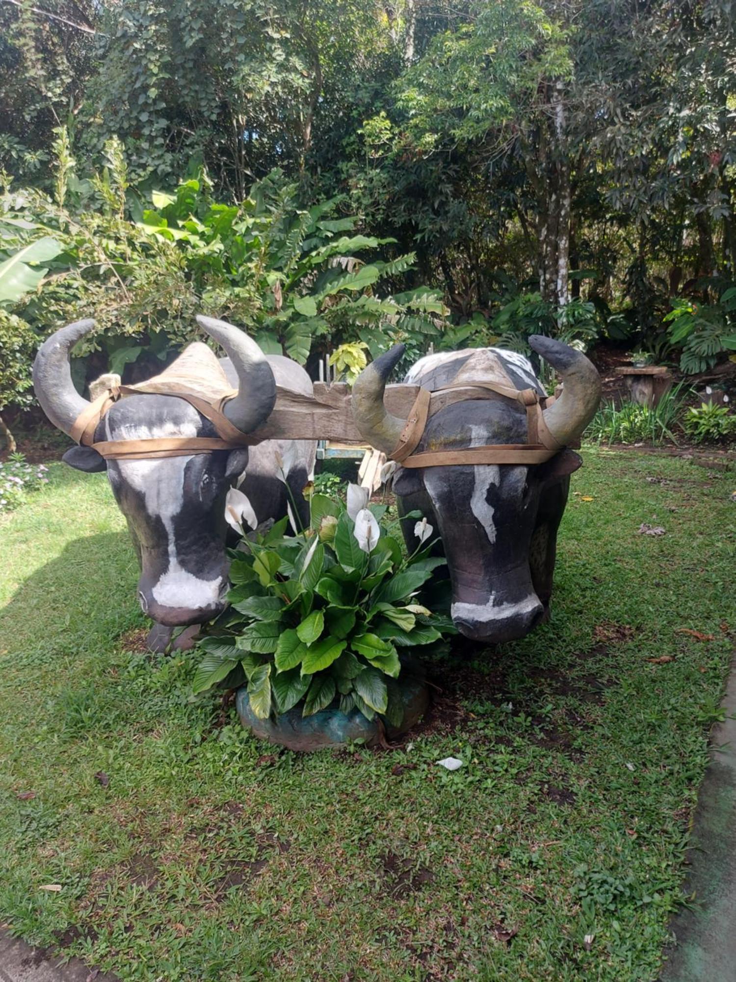Alisson Hotel Y Restaurant Monteverde 외부 사진